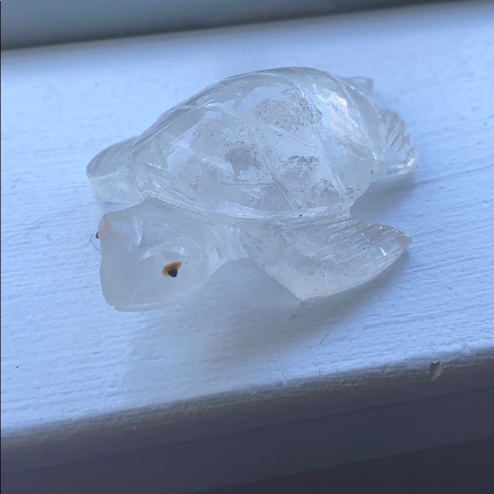 Turtle crystal from Brazil